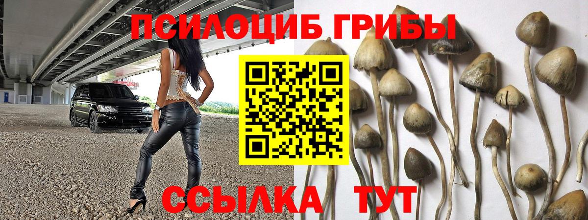 Чистополь  Псилоцибиновые грибы GOLDEN TEACHER  Галлюциногенные грибы GOLDEN TEACHER  Вход с VPN 
