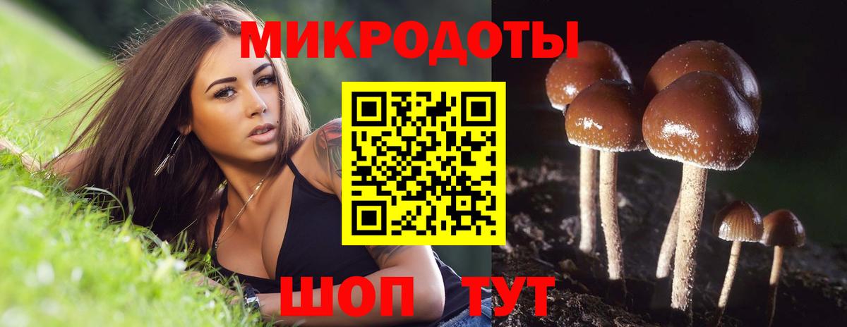 Псилоцибиновые грибы Magic Shrooms Чистополь